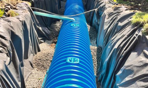 WhatsApp Image 2026-02-02 at 11.57.31 AM