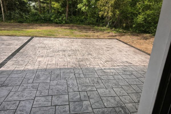 WhatsApp Image 2026-02-17 at 11.16.02